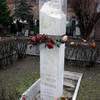 Аллилуева-Сталина Надежда Сергеевна - фотография места захоронения