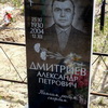 Дмитриев Александр Петрович - фотография места захоронения